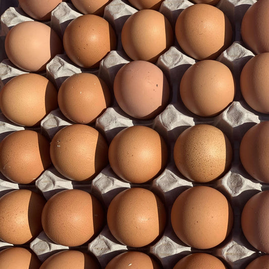 1 dozen fresh eggs (12 Eggs)